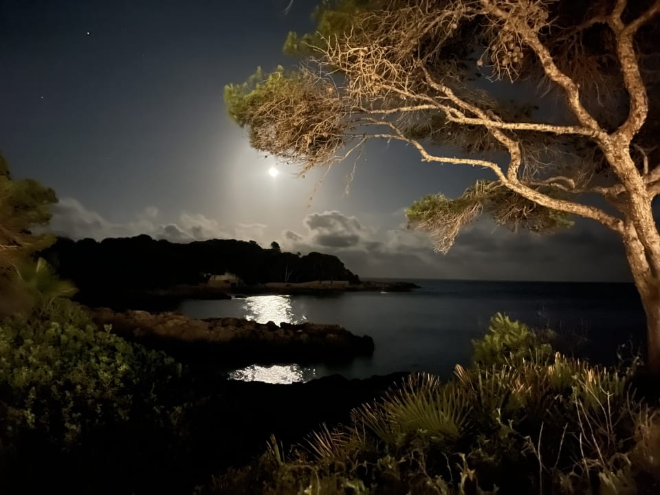 Ausblick Iberostar Waves Pinos Park