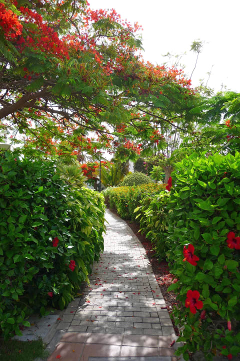 Is ja alle so schön bunt hier Bungalows Cordial Sandy Golf
