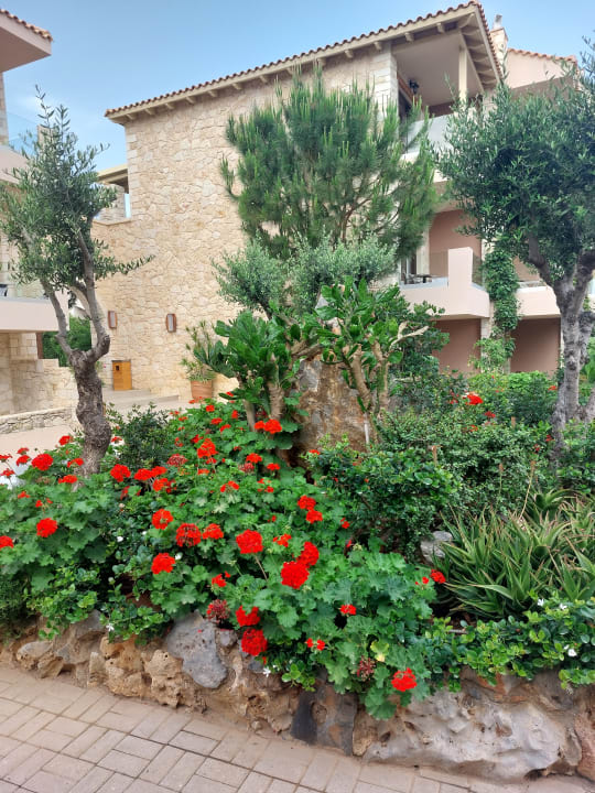 Gartenanlage Cactus Royal