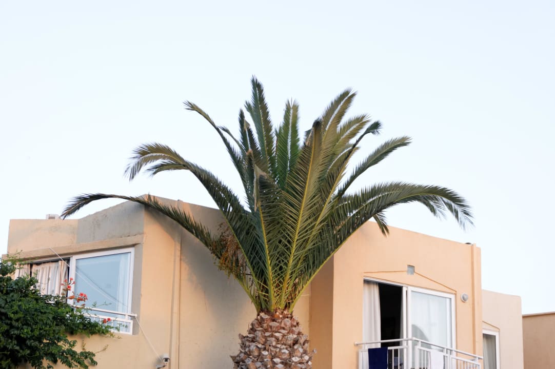 Zimmer Nefeli Hotel Rethymno