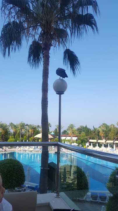 Pool Saphir Resort & Spa