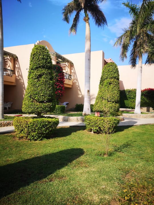 Gartenanlage Ali Baba Palace Hotel
