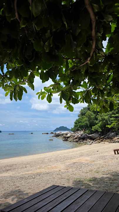 Strand Koh Tao Beach Club