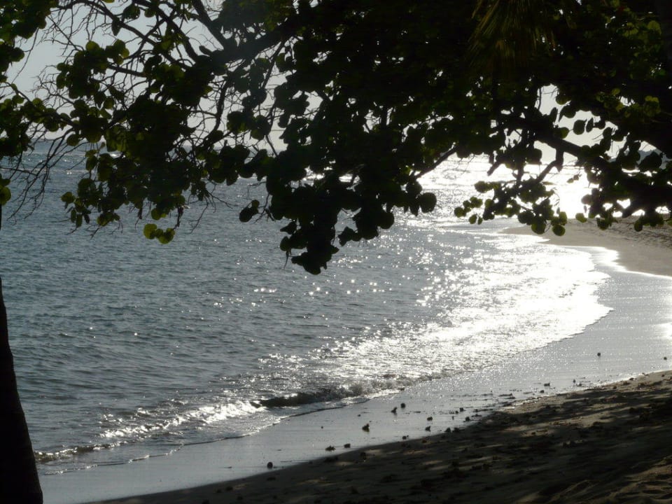 Strand am frühen Morgen Playabachata Hotel