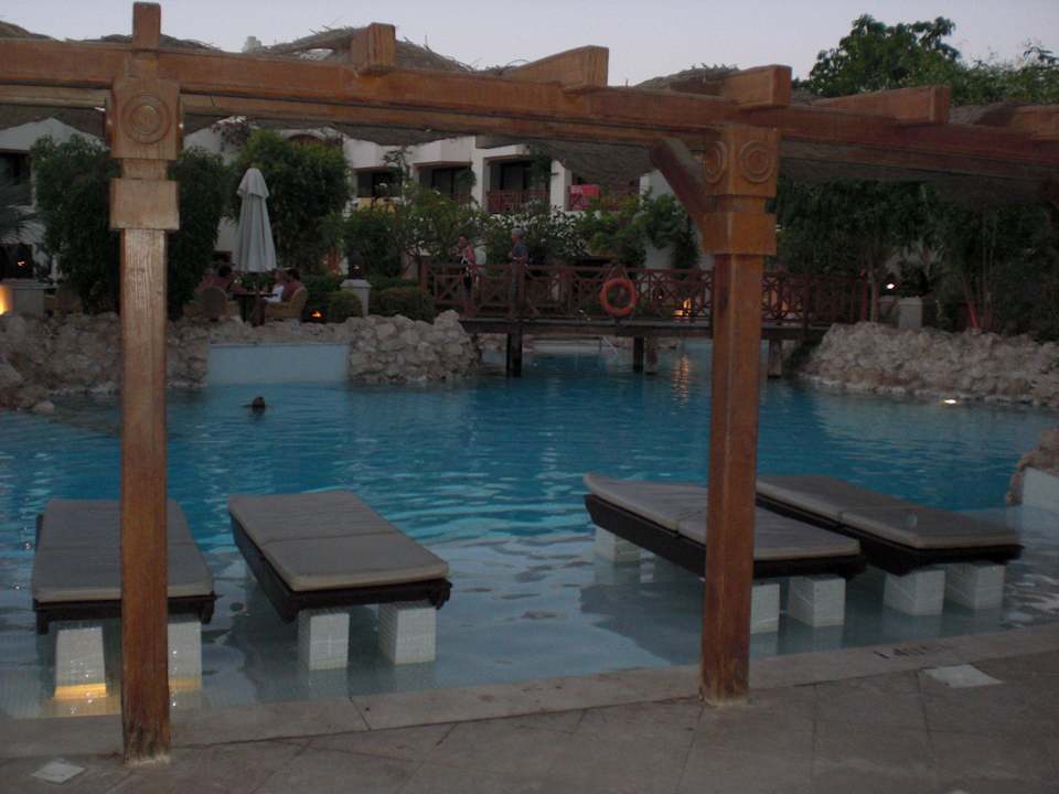 Liegen im Pool Ghazala Gardens