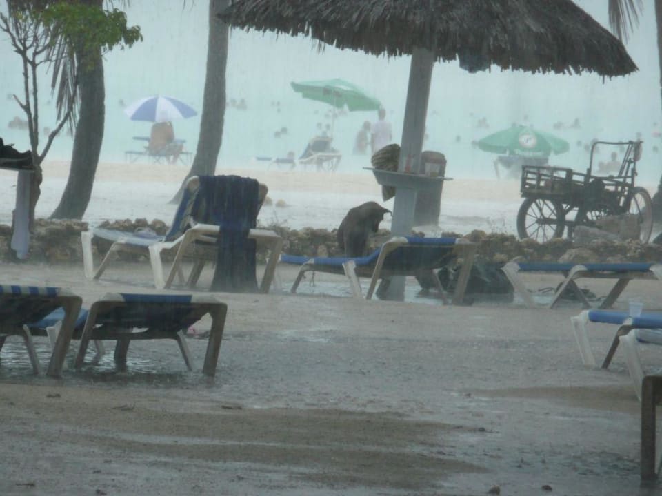 Regentage BelleVue Dominican Bay