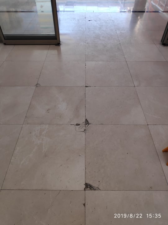 Gartenanlage Prestige Alanya