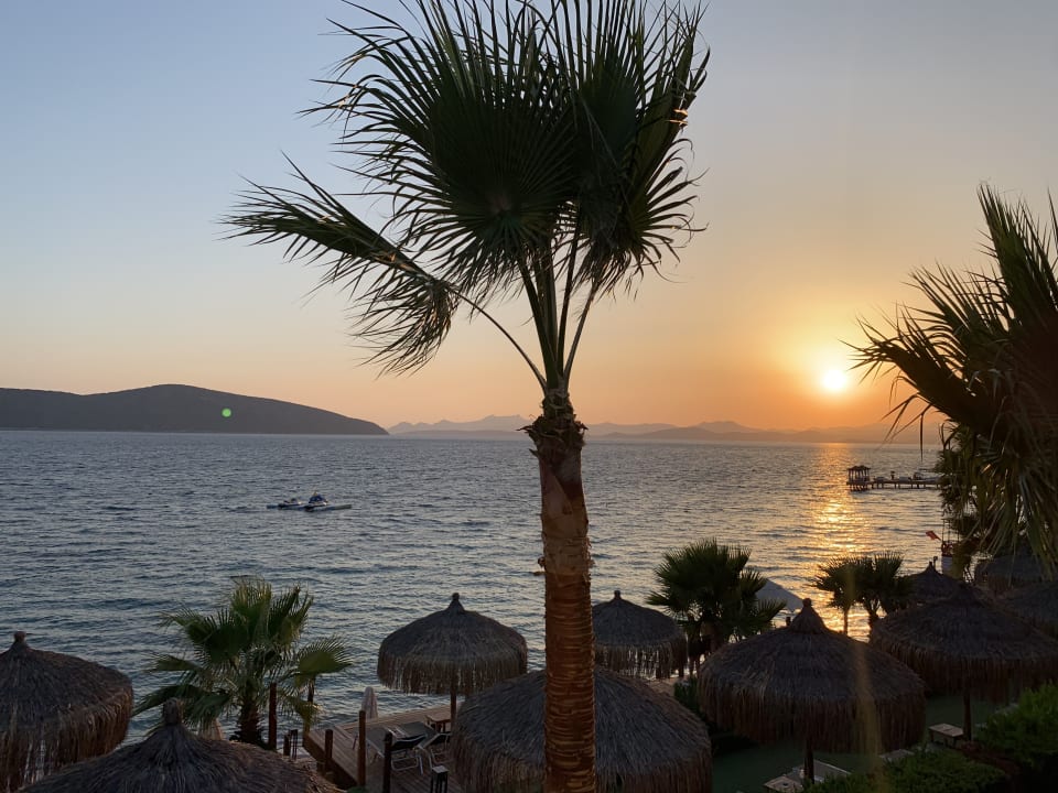 Strand TUI MAGIC LIFE Bodrum - Adult Only (16+)