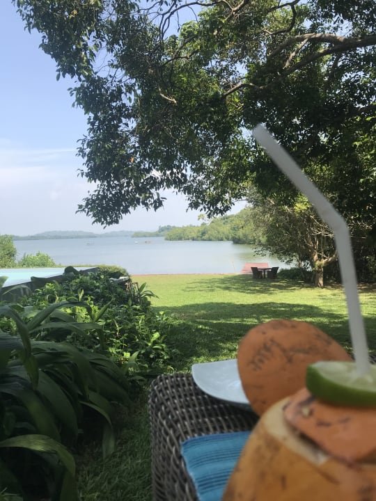 Gastro Roman Lake Ayurveda Resort