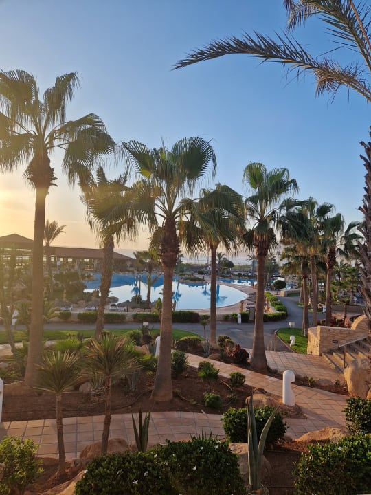 Pool Hotel Riu Tikida Dunas