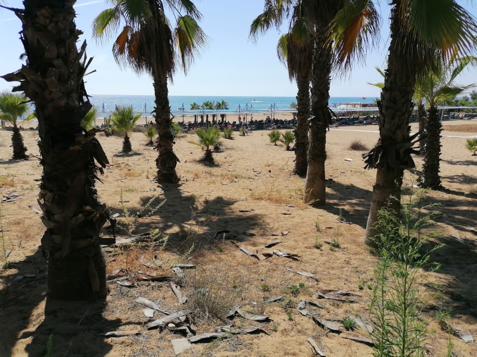 Strand Club Grand Side