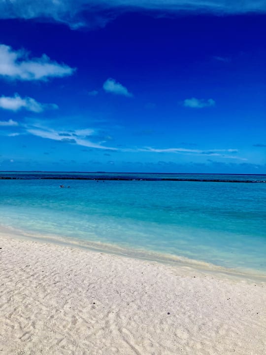 Strand Summer Island Maldives