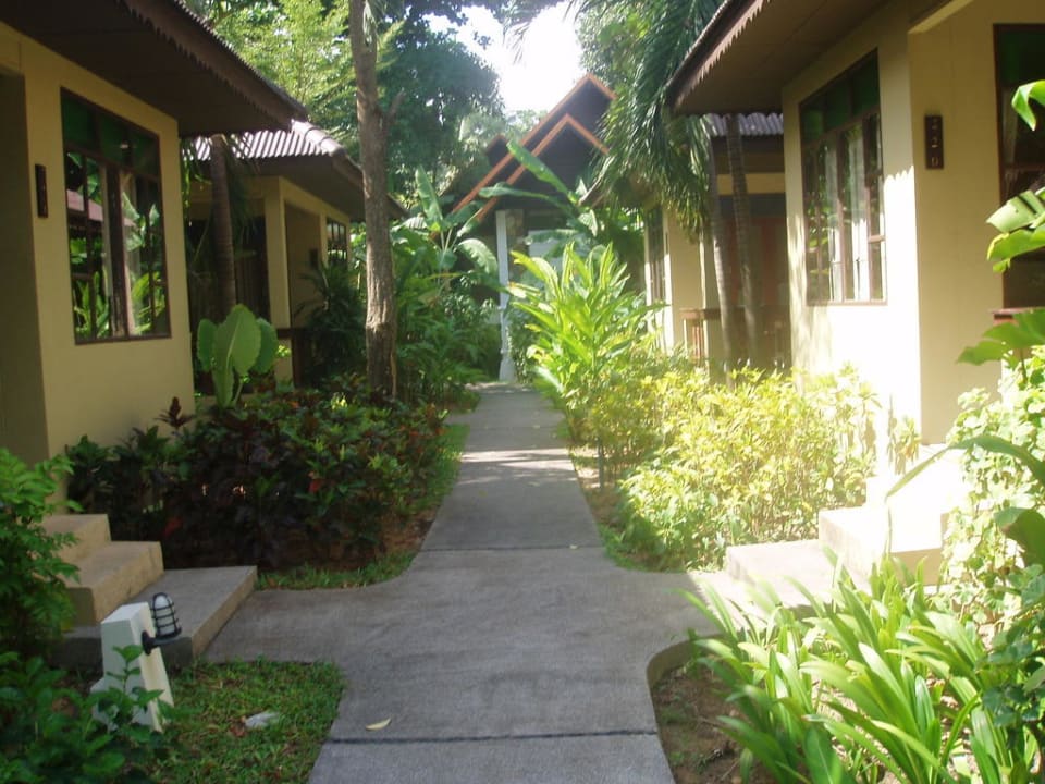 Hallo Nachbar NH Collection Samui Peace Resort