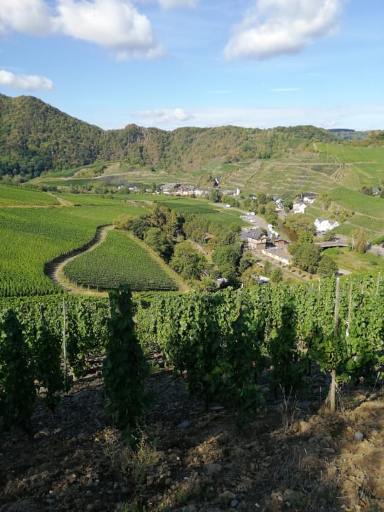 Ausblick Hotel Weinhaus Kläs & Sohn