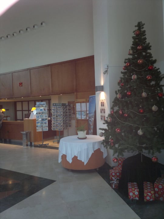 Choinka SBH Club Paraiso Playa