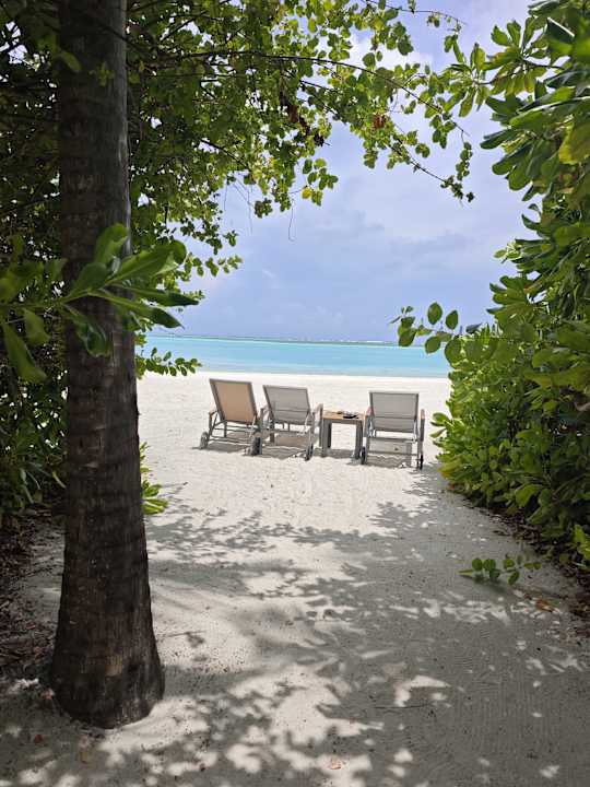 Strand Cocoon Maldives