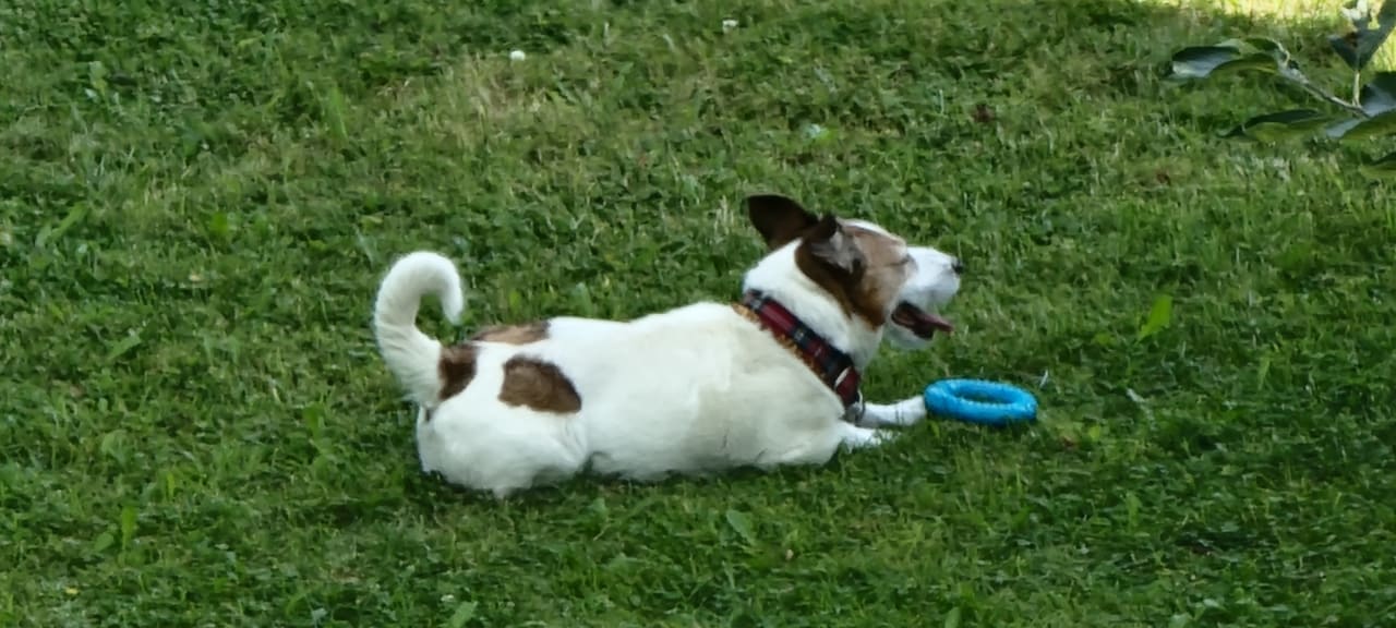 Sonstiges Hotel Wittelsbacher Hof