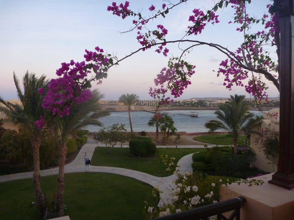 Blick vom Balkon auf Bucht Steigenberger Coraya Beach - Adults only