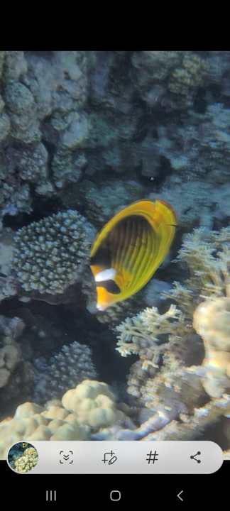 Sonstiges Makadi Spa - Adults only