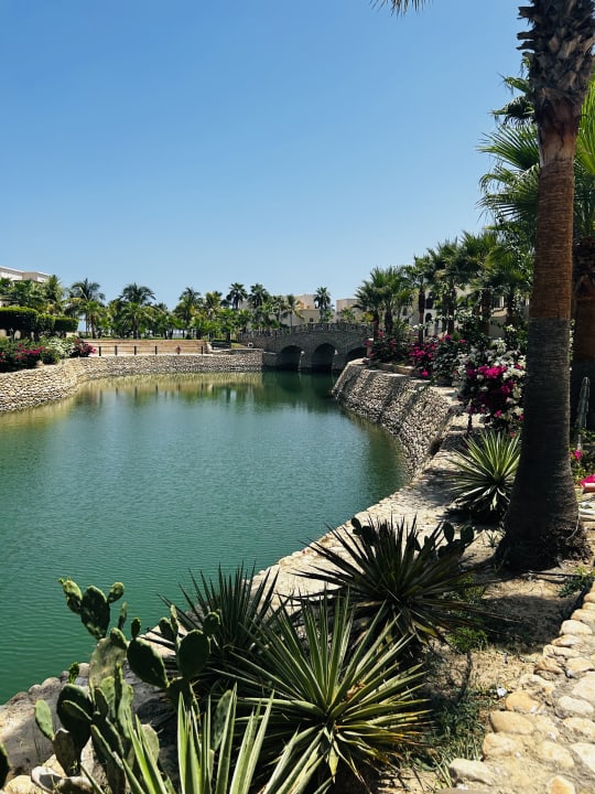 Gartenanlage Salalah Rotana Resort