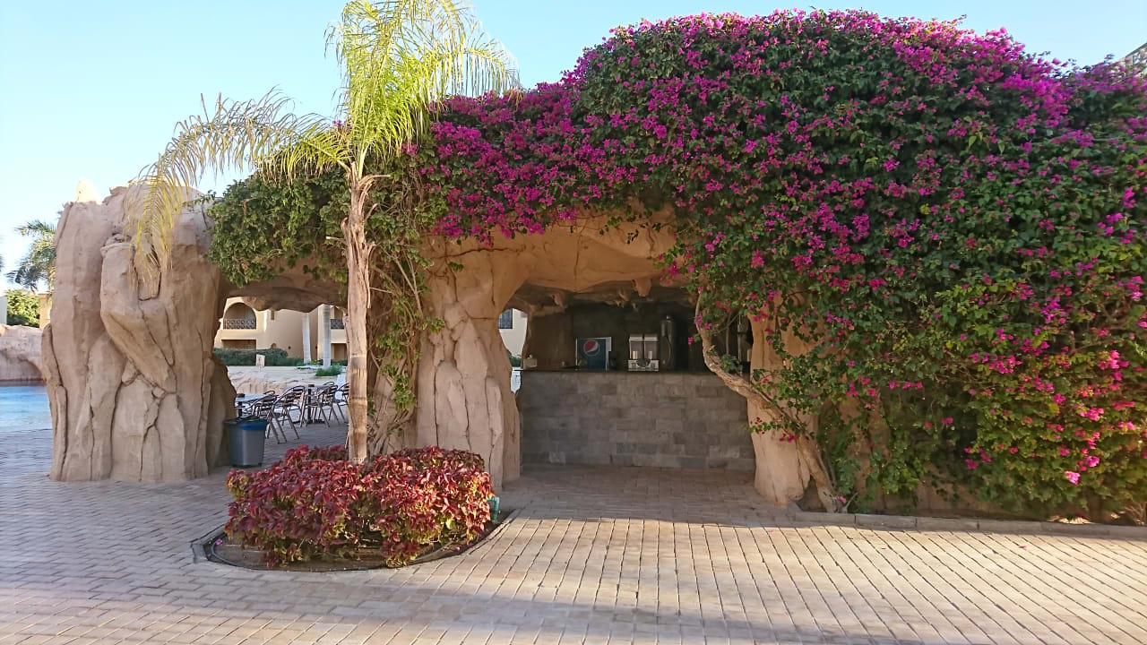 Sonstiges Stella Garden Resort & Spa, Makadi Bay