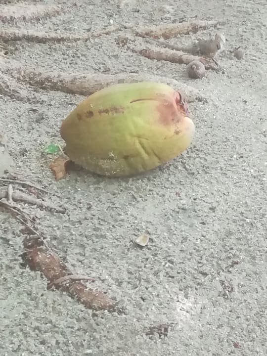 Sonstiges Embudu Village