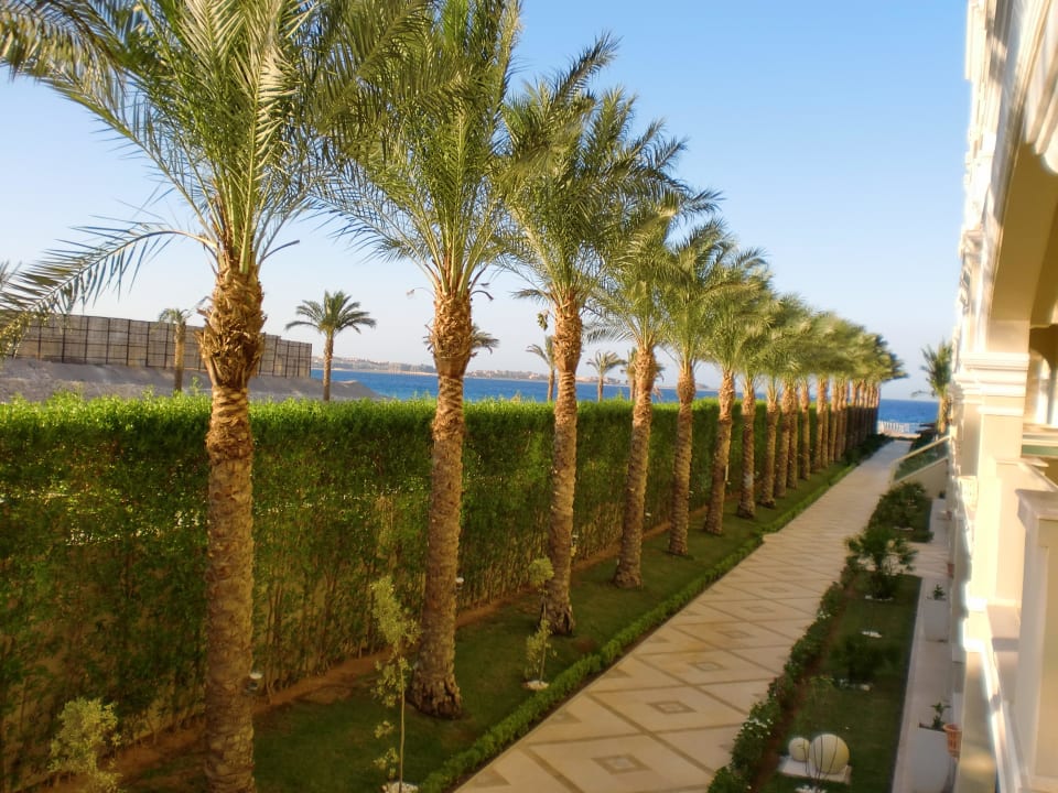 Gepflegte Aussicht vom Zimmer Premier Le Reve Hotel & Spa