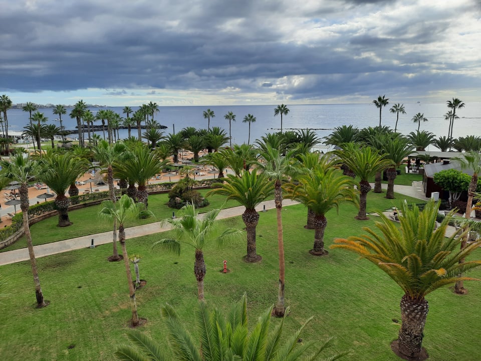 Gartenanlage Hotel Riu Palace Tenerife