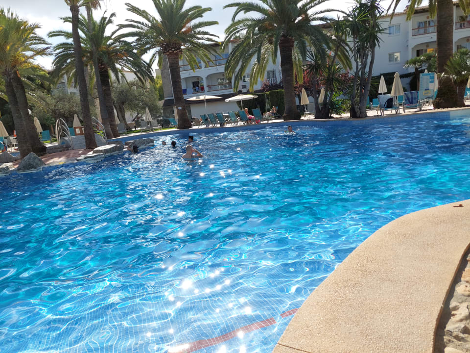 Pool Alcudia Garden Aparthotel