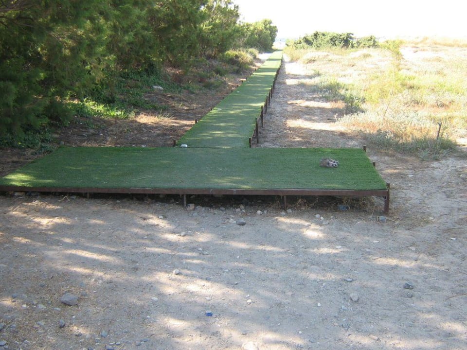 Weg zum Strand Blue Lagoon Resort