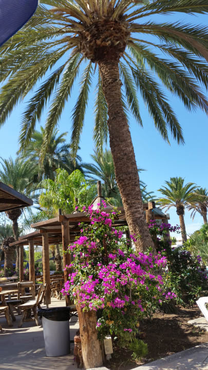 Garten HL Miraflor Suites Hotel