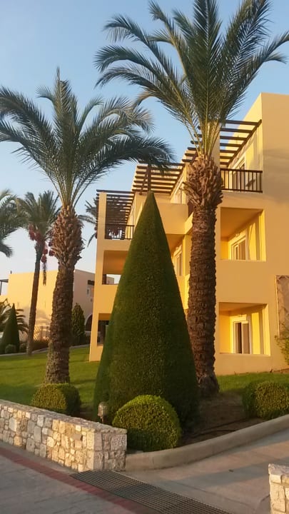 Gartenanlage Hotel Horizon Beach Resort