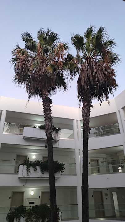 Ausblick Calimera One Resort Jockey