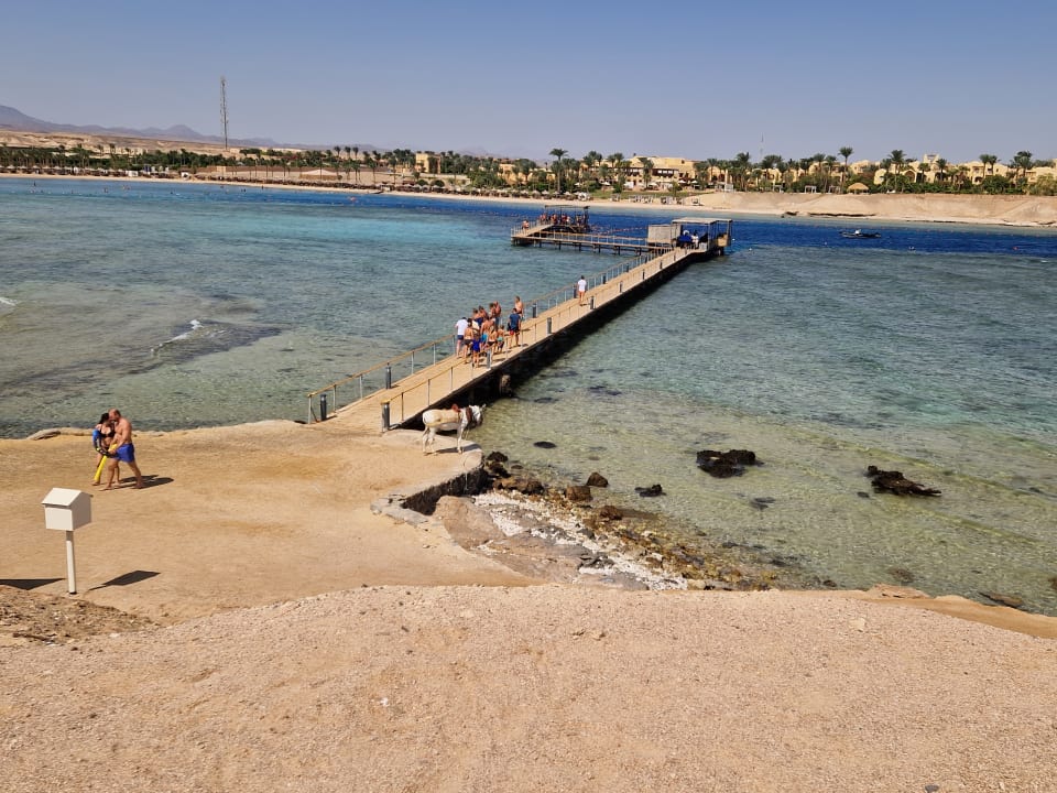 Strand Jaz Dar EL Madina
