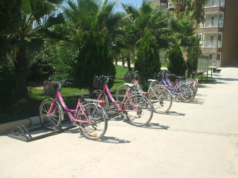 Fahrräder Marvida Family Eco