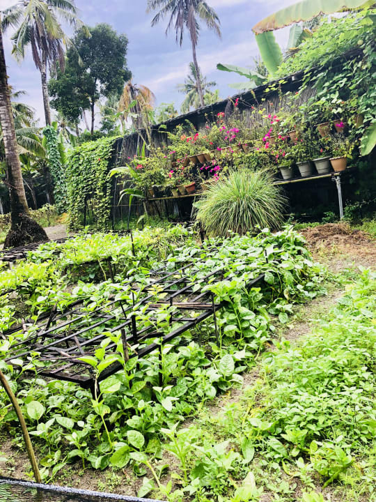 Gartenanlage  Adaaran Select Hudhuran Fushi - Premium All Inclusive