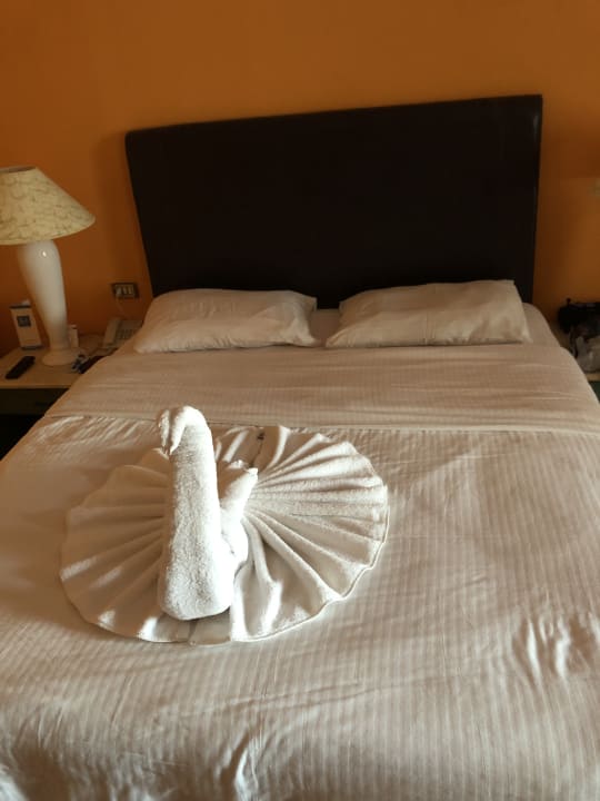 Zimmer Arabia Azur Resort