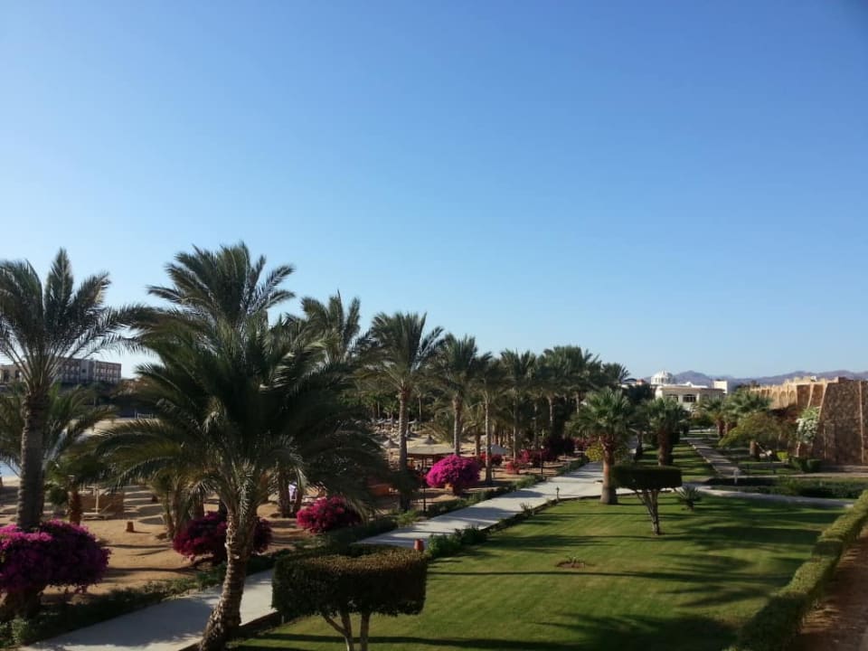 Zieleń Brayka Bay Resort