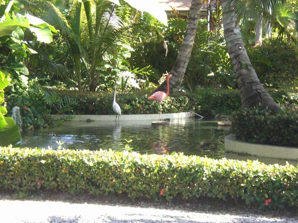 Flamingos Bavaro Grand Palladium Select Bávaro Resort & Spa