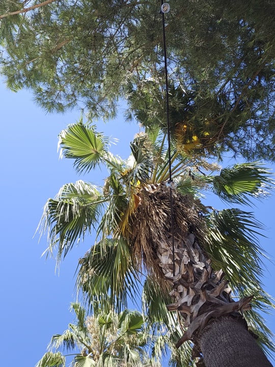 Sonstiges Hane Family Resort