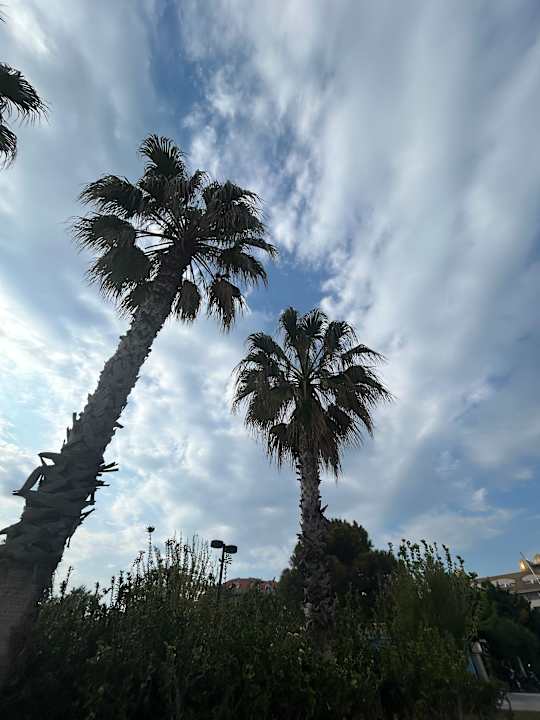 Ausblick Sentido Trendy Verbena Beach