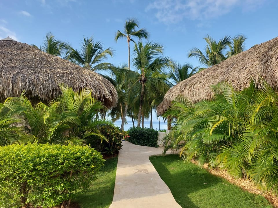 Gartenanlage Hotel Viva Dominicus Beach by Wyndham - All Inclusive Resort