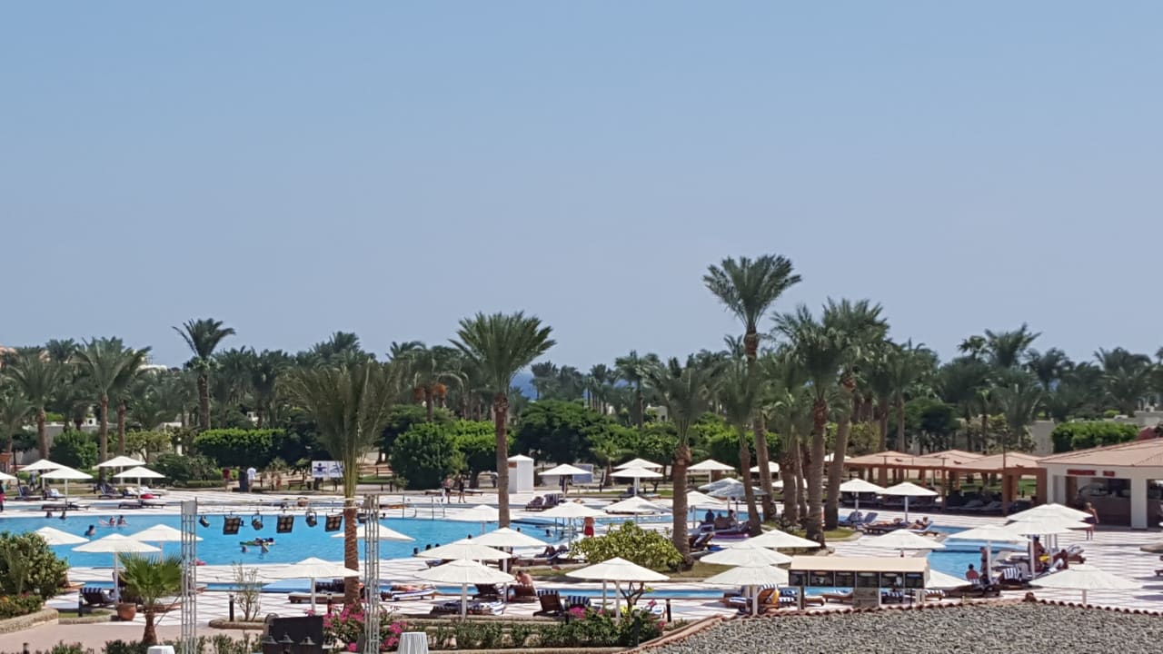 Pool Pharaoh Azur Resort