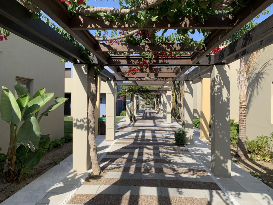 Sonstiges Astir Odysseus Kos Resort & Spa