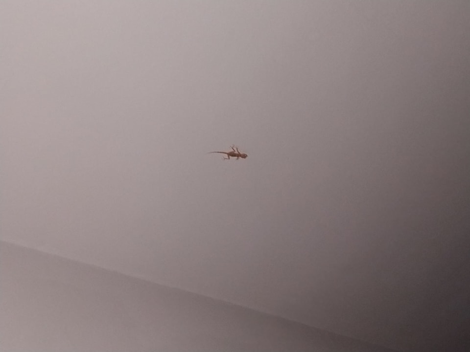 Zimmer Imperial Shams Abu Soma