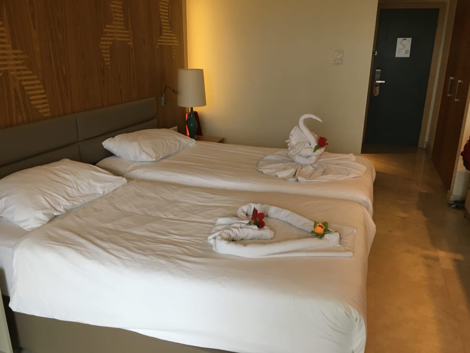 Zimmer PALOMA Perissia