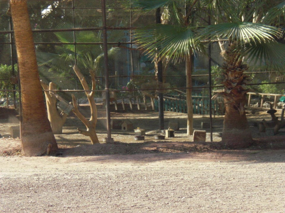 Vogelanlage Giftun Azur Resort