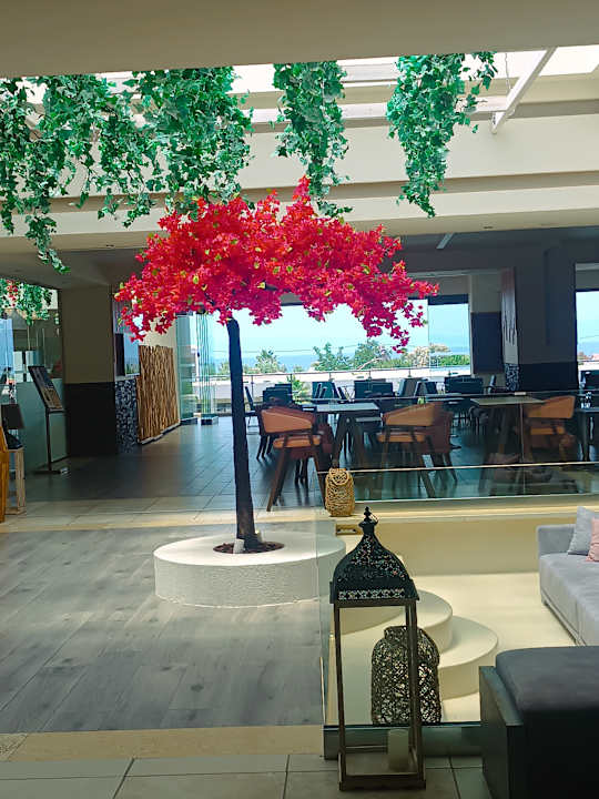 Lobby Alea Hotel & Suites