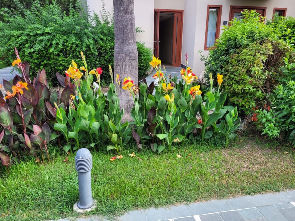 Gartenanlage Club Grand Side