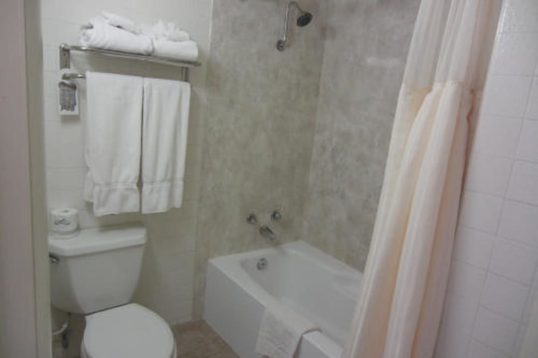 Dusche/Badewanne Best Western Hotel East Zion Thunderbird Lodge